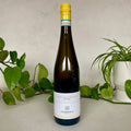 Colpaola Verdicchio di Matelica · Marche, Italy · 2021