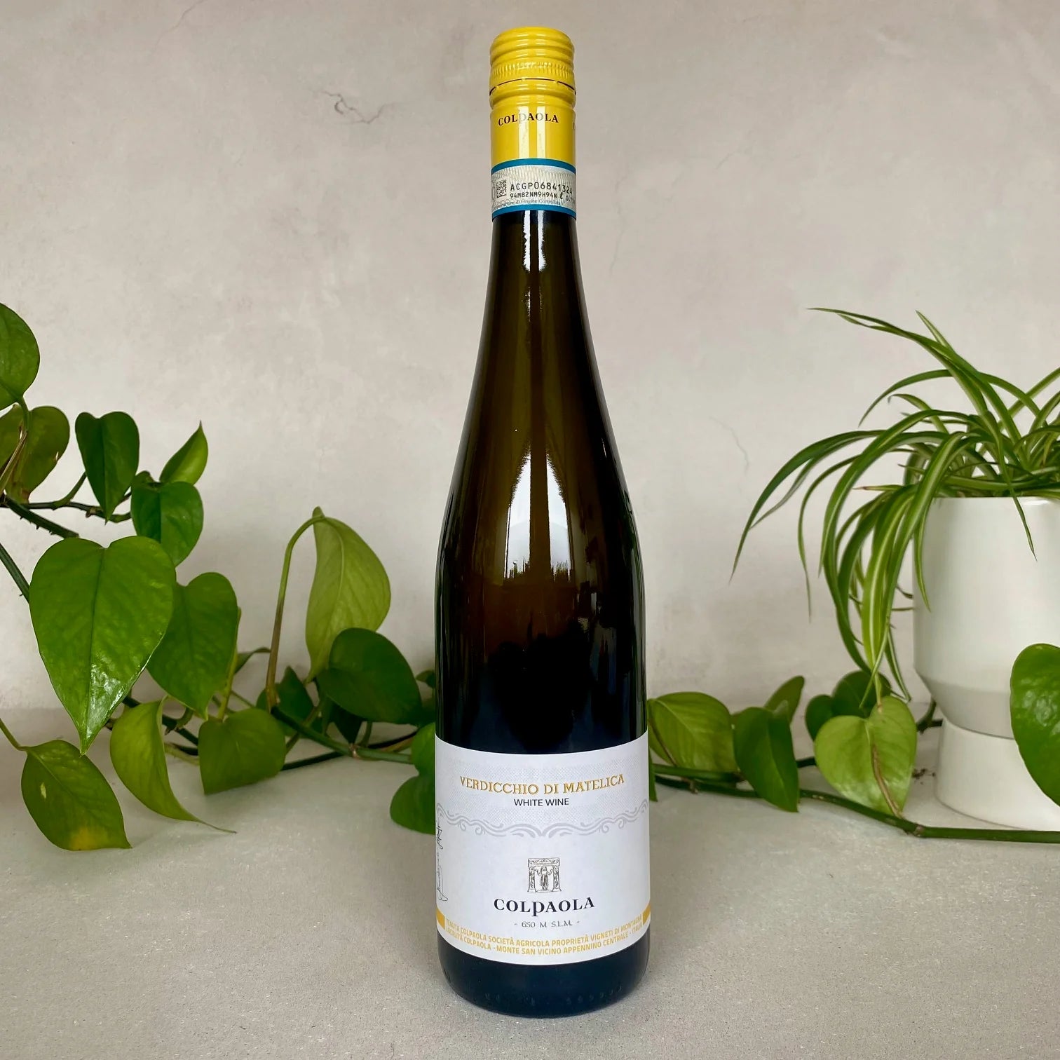 Colpaola Verdicchio di Matelica · Marche, Italy · 2021