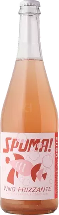 Denny Bini Podere Cipolla “Spuma” Vino Frizzante Lambrusco di Sorbara, Emilia-Romagna, Italy 🇮🇹