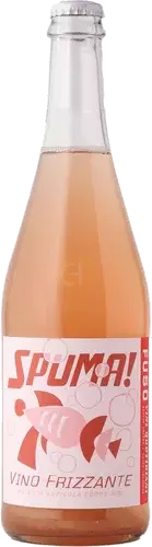 Denny Bini Podere Cipolla “Spuma” Vino Frizzante Lambrusco di Sorbara, Emilia-Romagna, Italy 🇮🇹