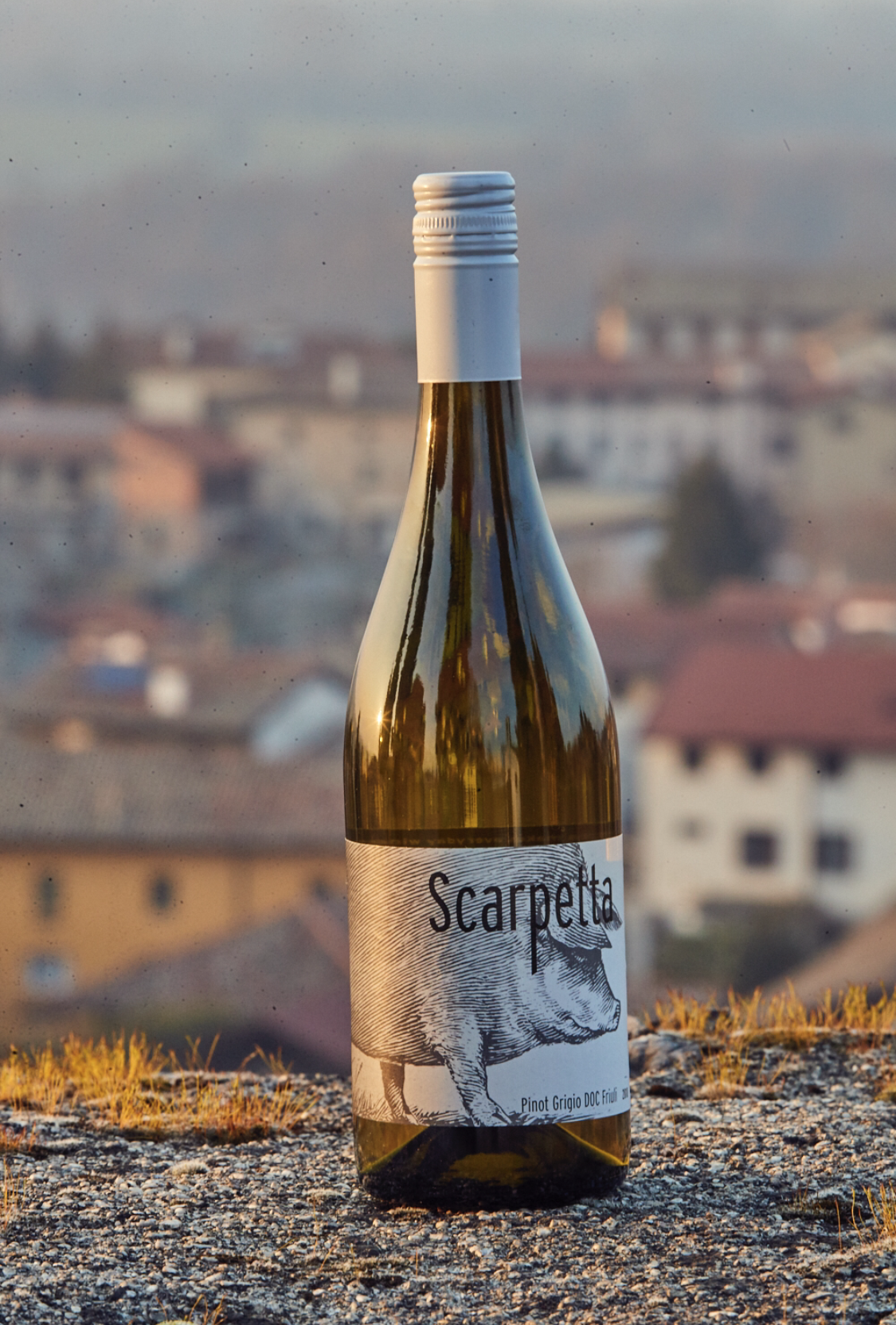 Scarpetta Pinot Grigio 2024 · Friuli-Inspired White