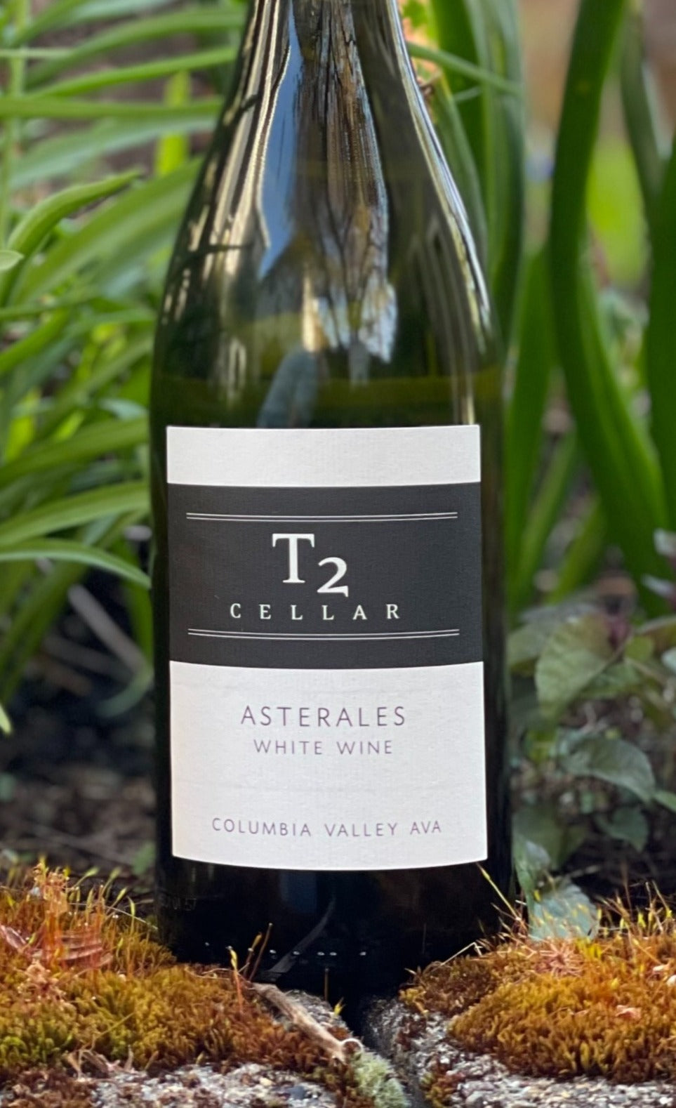 T2 Cellar · Asterales · NV (White Rhône Blend) · Columbia Valley