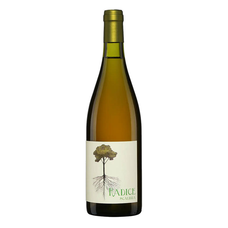 Vino Lauria “Radice” Catarratto (Orange) · Sicily, Italy · 2023