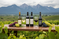 An image for Oregon is known for Pinot Noir, but there’s more to explore.

This club focuses on two Oregon wines each month, often Pinot Noir, alongside other standout varietals that express the state’s vineyards with clarity and restraint.