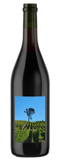 2021 Fly Rod Pinot Noir -  Convergence Zone Cellars · Willamette Valley, Oregon