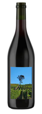 2021 Fly Rod Pinot Noir -  Convergence Zone Cellars · Willamette Valley, Oregon